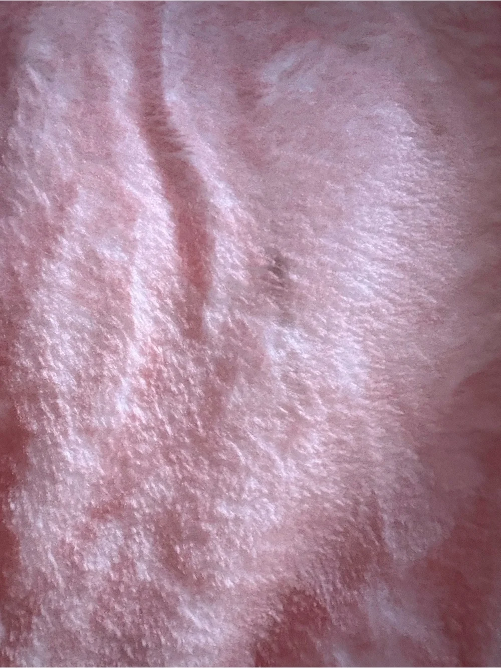 N/A cozy peach